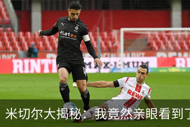 米切尔大揭秘：我竟然亲眼看到了“长腿的外星人”！